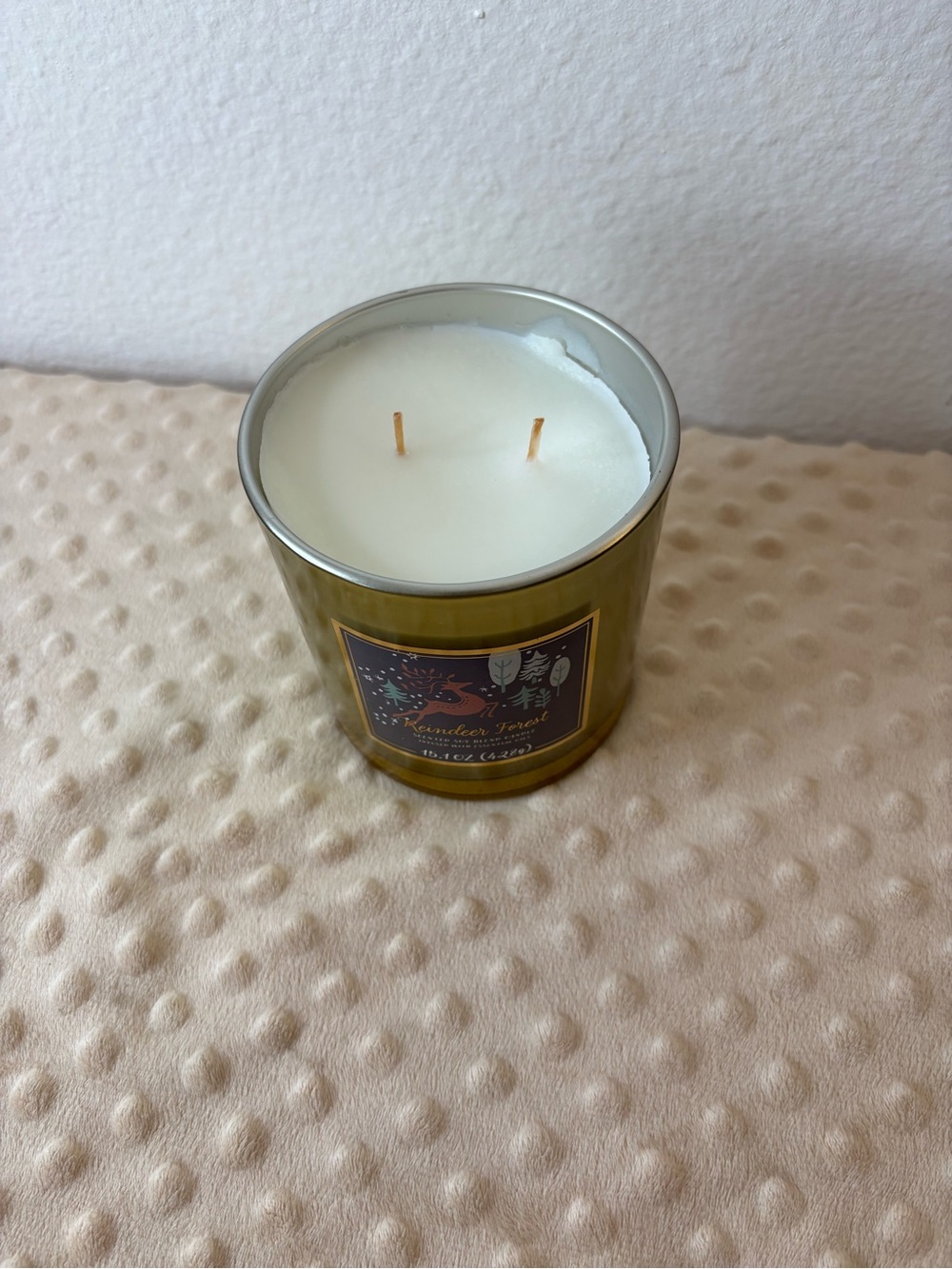 Opalhouse Green Two-Wick Holiday Scented Candle
